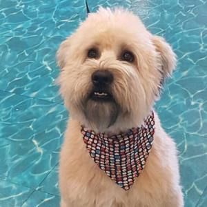 Meet your Posher, Terri